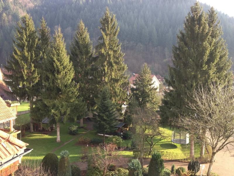 Hotel Garni Cafe Schacher Oberwolfach Exterior photo